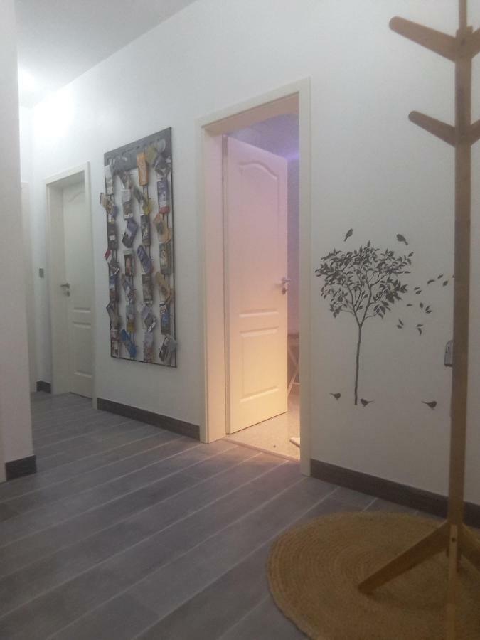 Chez Moera -Sur La Route Des Vins - Kaysersberg Apartment ภายนอก รูปภาพ